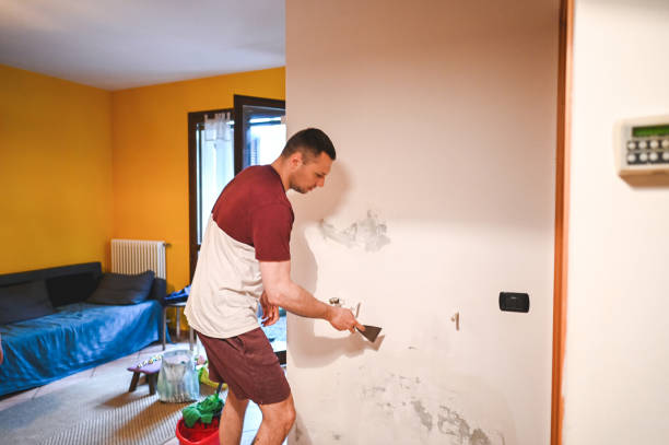Best Home Mold Removal  in New Middletown, OH